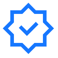 Professional customer service online